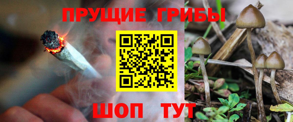 Галлюциногенные грибы прущие грибы  Вход с VPN  Армавир  Псилоцибиновые грибы прущие грибы 